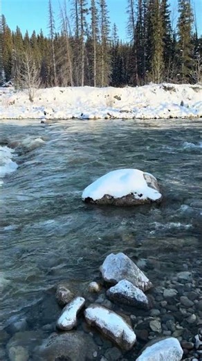 Frozen River in the Mountains ❄️ Nature Sounds