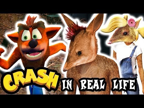🎮 Crash Bandicoot's Creatures in Real Life! [Eng / Fr Sub]
