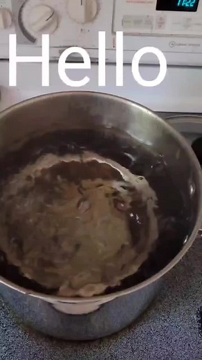 Home Mycology on TikTok
