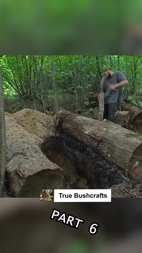 Building a Secret Survival Shelter | Part 6 My clothing : Trapper Hat: https://amzn.to/3LDYDIc Jacket & Pants: https://amzn.to/4bzsR9E T-Shirt: https://amzn.to/49BcdUF Backpack: https://amzn.to/49jkBJy Socks: https://amzn.to/4qHjUj0 Boots: https://amzn.to/4psbScJ My equipment : Flint & Steel : https://amzn.to/4qiGAXb Pot : https://amzn.to/49fCc58 Axe : https://amzn.to/4jDMj7o Pocket Knife : https://amzn.to/4py7Akg #bushcraft #shorts