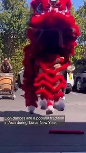 2.4K views · 72 reactions | Ever wonder the history behind lion dances and how they relate to Lunar New Year? KPBS' Beth Accomando spoke with the San Diego Legendary Lion Dance Association to learn more about the art and meaning of lion dances. Read more: https://ow.ly/YWOG50QEkVr | KPBS | Facebook