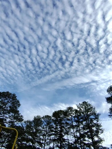 Dig (@diggy_dig)’s videos with original sound - Dig