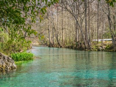 The 10 BEST Fishing Charters in Crystal River, FL (Spring 2026)