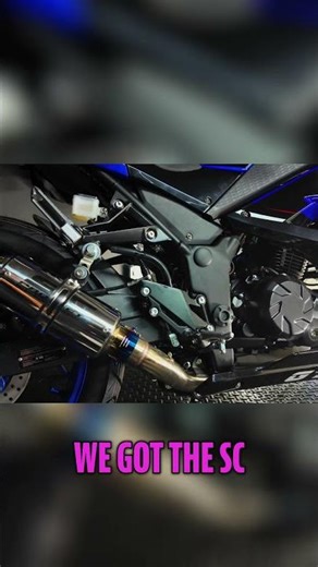 SC Project Exhaust Install & Sound Comparison on Bike!