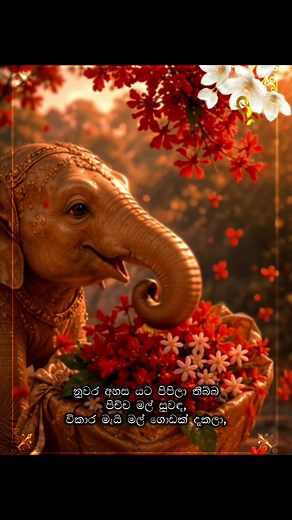 හැමදොලී පොත් පෙරදසුන: පිරිමැස්මිල් සුවඳ සමඟ preorders coming soon