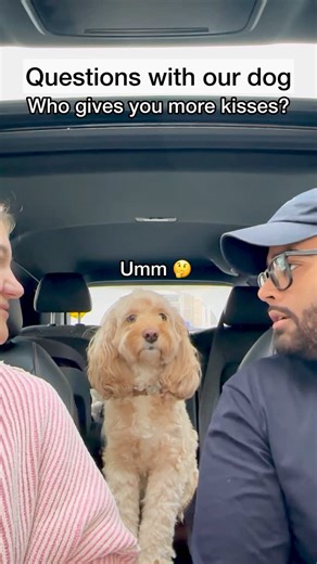 Luna The Mini Cockapoo on Instagram: "I’m the one with the treats 😳 @caledonfarms #caledonfarmspartner #dogs #puppylove"