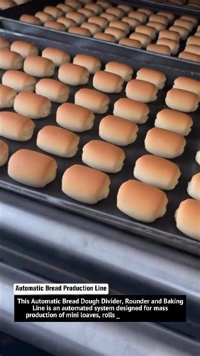 Automatic Bread Production Line | High-Speed Mini Bun Making & Baking Machine 2025