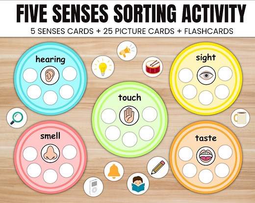 Five Senses Sorting Activity: Preschool Learning Printable (digital Download) - Etsy