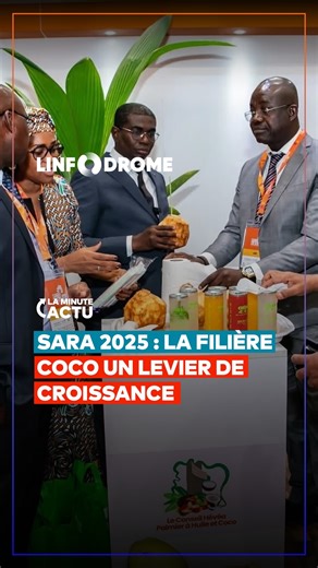 SARA 2025 : La filière coco prend son envol pour se positionner comme véritable levier de croissance La filière coco est officiellement rattachée au Conseil hévéa–palmier à huile, qui en assure désormais la régulation. À cet effet, une mission exploratoire a été diligentée pour établir un diagnostic de la filière et proposer des leviers de relance. #Linfodrome #economie #sara2025 | Linfodrome.com