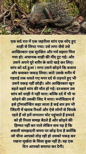 जो दर्द दे उसे छोड़ दो