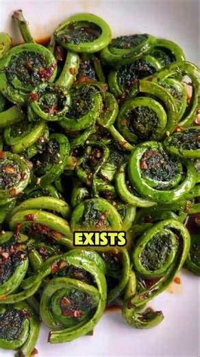 Fiddlehead Fern Is Only Available 14 Days Of Years! #Shorts #Fiddlehead #FiddleheadFerns