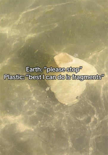 Understanding Microplastics and Sustainable Solutions