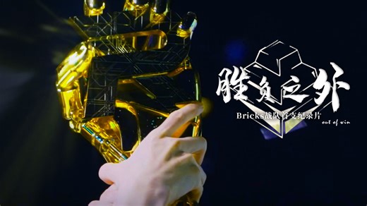 【纪录片】鲜有人关注过那些中道崩殂的队伍，但他们究竟是一群怎样的年轻人呢？——Bricks战队赛季总结篇