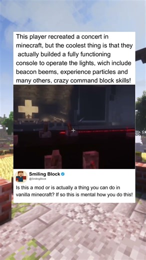 Concert IN MINECRAFT ?! #minecraft