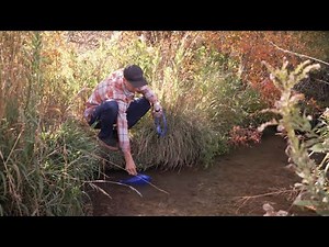 CamelBak Filtered by LifeStraw® - Reservoirs Tips - CamelHak