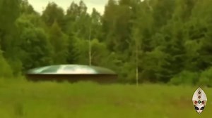 1.3K views · 57 reactions | No more informations | O Hierophante | Facebook