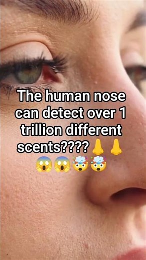 Human nose is a super detector??? 👃👃🤯🤯