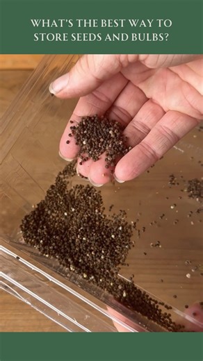 Jessica on Instagram: "How to store garden seeds and bulbs during the winter! These garden tips will help you properly keep your seeds and bulbs healthy long term. If you need a few more seed saving ideas, check out my seed saving playlist. Check out @kellogggarden for more fall gardening tips! #garden #gardening #plants #seedstorage #gardeningtips #gardeninghacks"