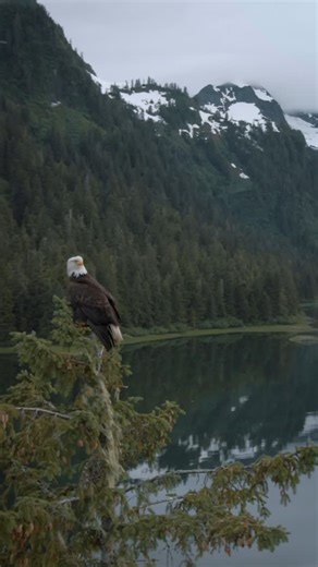 Redmond Real Salt | Unrefined Sea Salt on Instagram: "From deep within the earth to the heart of your home—Redmond is where simple, clean, and real come together. Whether you’re hiking a mountain, feeding a family, chasing elk, or chasing toddlers, there’s a Redmond product for your journey. Re-Lyte. Real Salt. Redmond 10 Fine. Trophy Rock. Redmond Rock. Daily Gold. Redmond Raw Milk. Pybus Point Lodge. Best Vinyl. Redmond Valleywide. One mission: Elevate the human experience. ❤️"