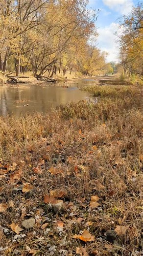 Low water fall drought Wabash River Bluffton Indiana #reecelifedadlife #DadLifeFishingAdventures #indianafishing #riverfishing #fishing #wabashriver | Dad Life Fishing Adventures
