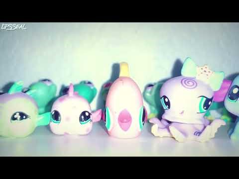 LPS Shelf Organization | 2025