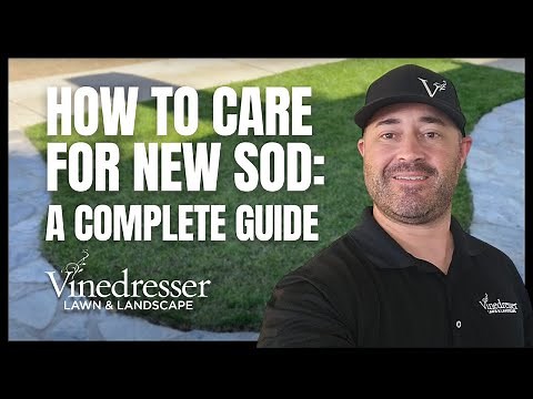 How to Care for New Sod: A Complete Guide