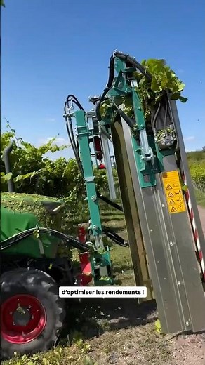 La taille mécanique, une étape essentielle du travail de la vigne. ✂️