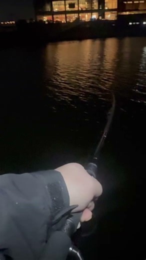 【シーバス】シーバスは楽しい‼️ #シーバス #fishing