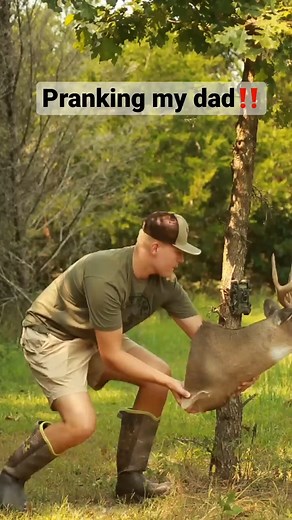 2.5M views · 5.5K reactions | Pranking my dad! #feathersandfins #deerhunting #prank #Hunting #Hunt #HuntingLife #HuntingSeason #HuntingCommunity #Hunter #HuntingAdventure #HuntingGear #BowHunting #RifleHunting #HuntingPassion #HuntingSports #WildlifeHunting #GameHunting #HuntingDog #OutdoorHunting #HuntingTrip #HuntingExperience #HuntingPhotography #HuntingMemories | Wild Hunting | Facebook