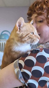 Lewis and Clark Humane Society on Reels