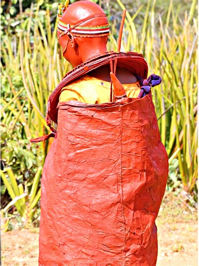 Samburu Wedding Traditions: A Vibrant Cultural Journey