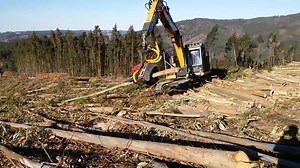 353K views · 4.7K reactions | Processamento de toras | MaqPro Treinamentos | Facebook