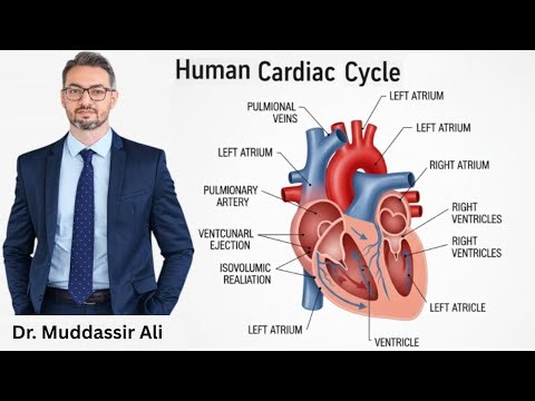 Cardiac Cycle Animation & Explanation For Nursing & Medical Students