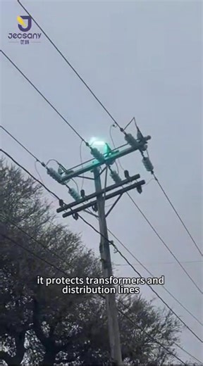 High Voltage Fuse Cutout Reliable Overcurrent Protection