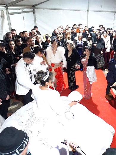 Nunta Anului 🔥 Cristi Nucă & Formația – Chef Fără Pauză - Cristi Nucă și Formația în Forță Nunta mare nunta de valoare nunta anului cristi nuca si formatia#ManeleDeTop #fotograf #videograf #nunta #wedding #tiktokromania #nuntaSpectacol #cristiNucaLive #formatieProfesionala #evenimentExclusiv #petrecereEleganta #muzicaDePetrecere #chefAutentic #nuntaDeVis #liveRomanesc #atmosferaPremium #nuntaCuStil #petrecereMemorabila