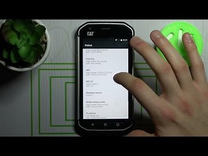 How to Check Device Model on CAT S40 - Find Device Model