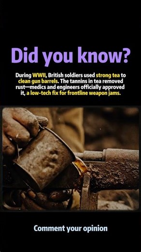 WWII Soldiers Used Tea To Fix Guns#history #shorts