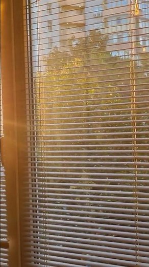 Understanding UV Protection with Window Films