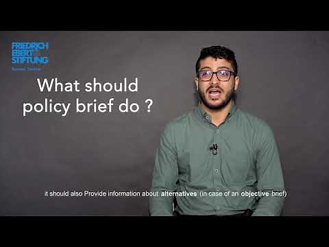 What's policy brief (EN)