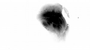 Computer Generated Black Ink Transition