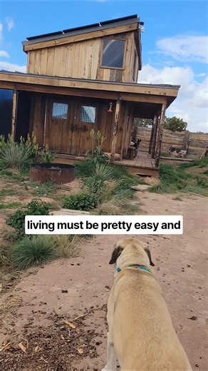 Off Grid Living Looks Peaceful. Here's What You Don't See. #offgridliving