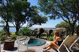 Victoria Falls River Lodge elephant encounters allow you to witness and watch some of the biggest personalities in Africa in their natural habitat. Just relax by the bar or by the pool and wait for our "regulars" to make their daily rounds. You are bound to capture a photograph or two, or if you're lucky an entire video to take home and show your loved ones. You deserve an experience like this, everybody does! • Video created by @andrewloizou (head on over to our website to find out more about o