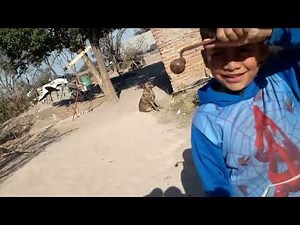 Noel Films social help continued