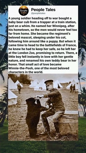 A soldier bought a bear cub named Winnipeg. It became the real Winnie-the-Pooh.