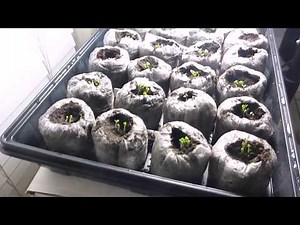 4 proyectos Arduino 🚀 🚀 y Construye un Huerto o Jardín inteligente y Automatizado #arduinp