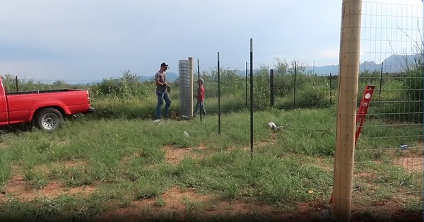 I built a stunning wall planter for my patio! 🌿