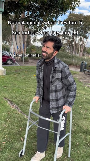Normal animals when they turn 5 vs sea turtles when they turn 90. #fyp #humor #joke
