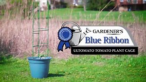 Gardener's Blue Ribbon SA12 Ultomato Stake Arms