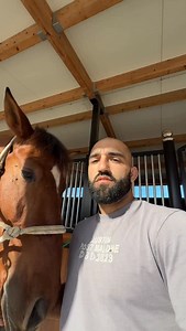 589K views · 11K reactions | It’s all about respect with Bravo, @patricia_sanchez_dressage colt ♥️ | Alexandre Tehfi | Facebook