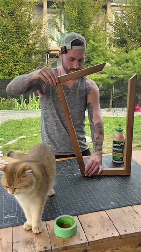 How to build a cheap cat scratcher